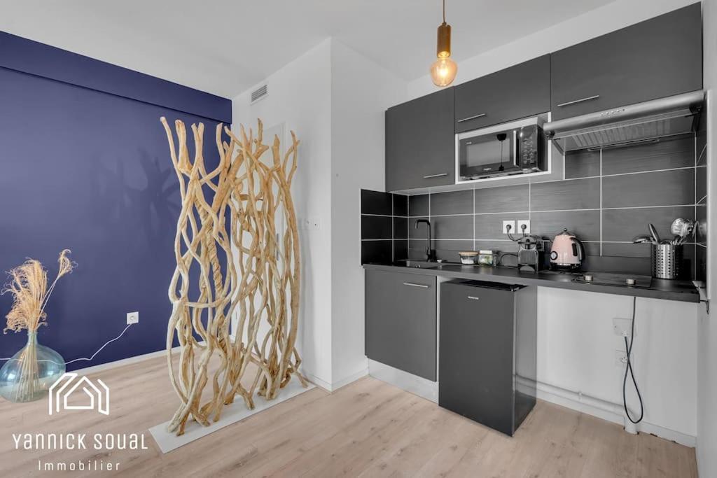 L'Ormeau Flamingo Apartment Toulouse Bagian luar foto